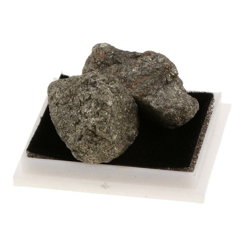 Kids Science Kit Rock And Mineral Collection in Clear Box - Pyrite