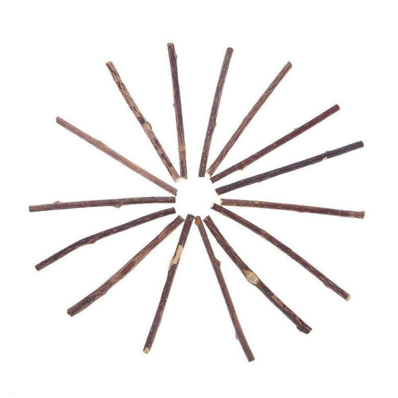 30pcs Natural Fruit Matatabi Cat Snacks Sticks Catnip Pet Cat Molar Rods