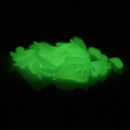5X(50pcs 1.6cm bait fishing maggot Grub Soft Baits Worms Noctilucent LuminoI6U4)