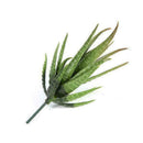 Artificial Succulents Craft Floristry Decoration Plastic Plants Aloe Simula F5L6