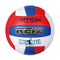 Training Volleyball Official Size 5 Volleyball Ball for Indoor Gym or Outdoor