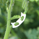 100pcs Tomato Plastic Fixed Clip Vine Strengthen Clamp Twigs Support Garden Tool