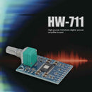 TPA3116D2 Chip Micro Digital Power Amplifier Board 50Wx2 HD Sound Module