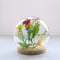 Glass Display Cloche Bell Jar Dome Flower Vase & Wooden Base 15cmx14cm (DXH)