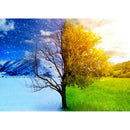 Full Round Drill Diamond Painting DIY Autumn Winter Tree Rhinestone Picture