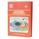 Dominos Instruction Book with 90 Puzzle - Dominoes Blocks Tumbling Game Toys