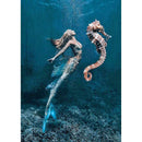 5D DIY Full Drill Diamond Painting Seahorse Cross Stitch Mosaic Craft Kits