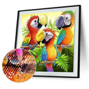 DIY 5D Diamond Embroidery Parrot Painting Cross Stitch Craft Home Decor