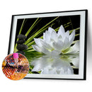 40x30cm White Lotus DIY 5D Diamond Painting Cross Stitch Needlework Craft