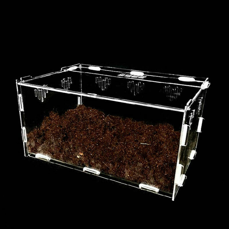 Acrylic-Reptile-Terrarium-Habitat-Ideal-Case-for-Larvae-spiders-ants-scorpi S8O4