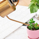 Watering Can Golden Garden Stainless Steel 1300Ml Small Water Bottle Easy T W2B9