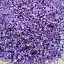 50g Mini Lucky Healing Natural Amethyst Point Crystal Quartz Stone Rock Chips