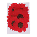 6pcs Pressed Dried Real Flower Sunflower Scrapbooking Embellishments Red