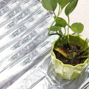Garden Wall Mylar Film Covering Sheet Hydroponic Reflective 155cm. x Film 2 H5S0