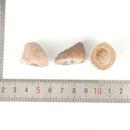 5Pcs Geodes Oco Agate Natural Crystals Druzy Halves Quartz Specimens  lj