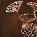 Lotus Natural Dried Flowers Bouquet Branch Decorations Floral for Party H-3C