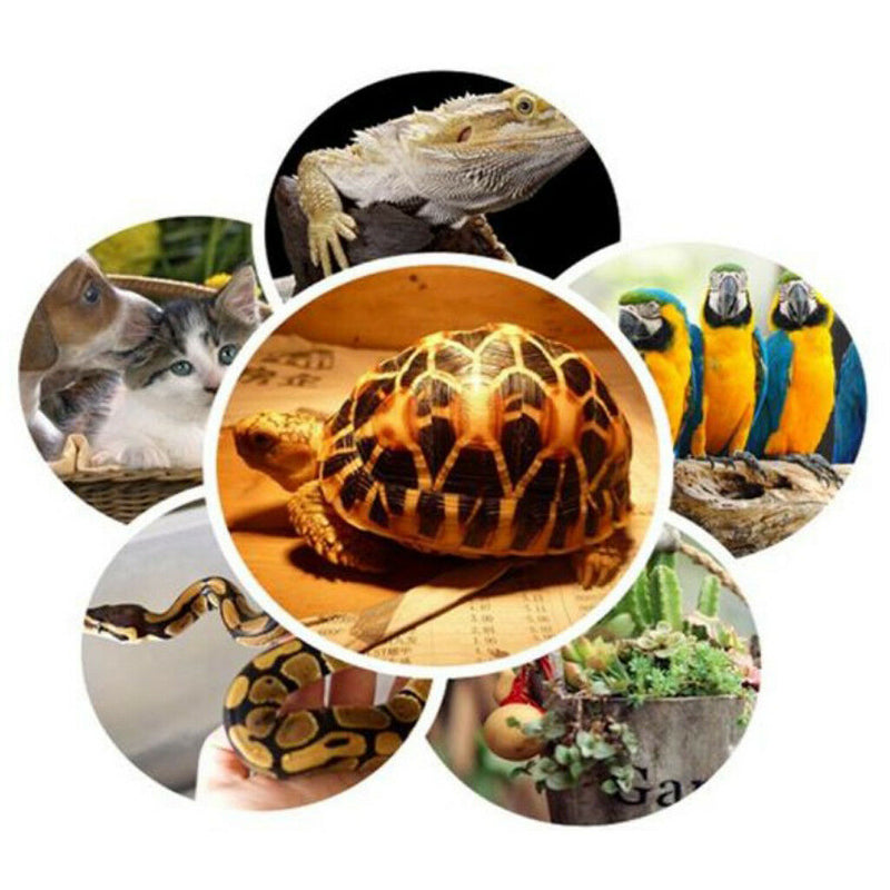 3 Pcs Pet Uva Uvb Reptile Heating Calcium Lamp Sunlamps Basking Bulb 50W