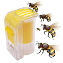 Bee Queen Marking Catcher One Handed Marker Bottle Plunger Plush Tool WO DUI
