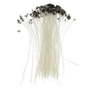 15cm Pre Waxed Cotton Teacup Wick Smokeless With Metal Sustainer For DIY