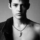 Trendy Stainless Steel Domineering Wolf Tooth Shape Pendant Necklace Jewelry FT