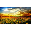 Full Round Drill Diamond Painting DIY Wonderful Nature Cross Stitch (LG030) A