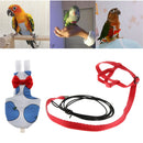 Parrot Bird Parakeet Leash Rope Comfortable Birds Bird Pocket Nappy Easy and