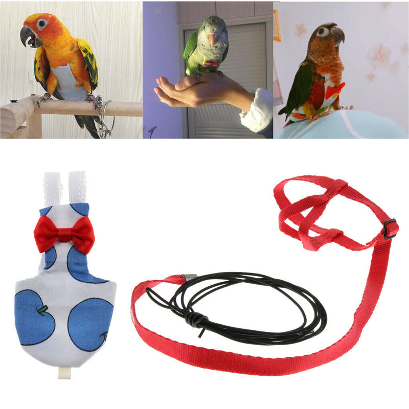 Parrot Bird Parakeet Leash Rope Comfortable Birds Bird Pocket Nappy Easy and