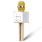 Portable Wireless Karaoke Microphone,Mini Handheld Cellphone Karaoke Player