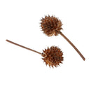 80 Mini Dried Flowers Plant Fruits Christmas Accents Wedding Decor Ornaments