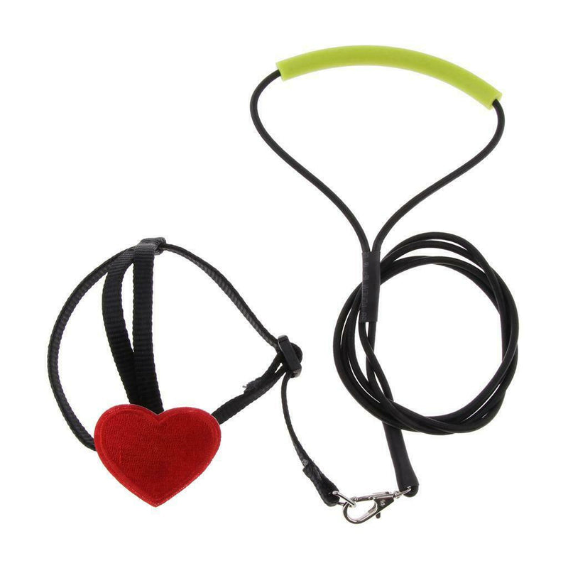 Adjustable Parrot Bird Harness Leash Anti-Bite