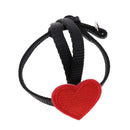 3x  Bird Harness And Leash for Birds Macaw Cockatoos Amazon Parrot Budgies