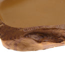 Reptile Water Drinker Dispenser Food Bowl