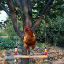 Chicken Swing Wooden Birds Perch for Chicken Hens Large Birds Parrots