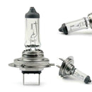 H7 12V 55W Halogen Bulb Headlight Halogen Premium Automotive Car Lamp Y8J5