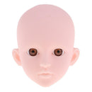 1/4 BJD Safety Eyes 14mm Acrylic Eyeballs for PB Dollfie DOD Custom DIY