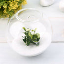 1Pc High Glass Hanging Flower Planter Vase Terrarium Container Home Garden
