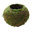 3pcs Naturally Green Moss Ball Flowerpot Plant Holder Garden Ornament Holiday