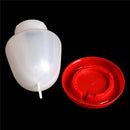 1 x Automatic Pet Chicken Quail Poultry Bird Pheasant Feed Water Tool 1000ML M&O