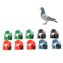 10x Pigeon Rings Bird Chip Rings Identification