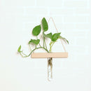 Wall Hanging Clear Glass Vase Flower Planter Bottle Tube Pot Terrarium Decor