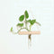 Wall Hanging Clear Glass Vase Flower Planter Bottle Tube Pot Terrarium Decor