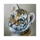 Diy 5D Diamond Painting Animal Full Square Diamond Pictures Cross Stitch Pa