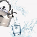 Premium Whistling Tea Kettle Stainless Steel Gas Electric Induction Stovetop