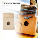 10 Keys Kalimba DIY Basswood Thumb Piano Musical Instrument for Beginner
