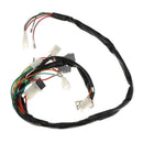 Wiring Harness Loom CDI Control Unit Coil Fit for Yamaha PY50 Dirt Bike New