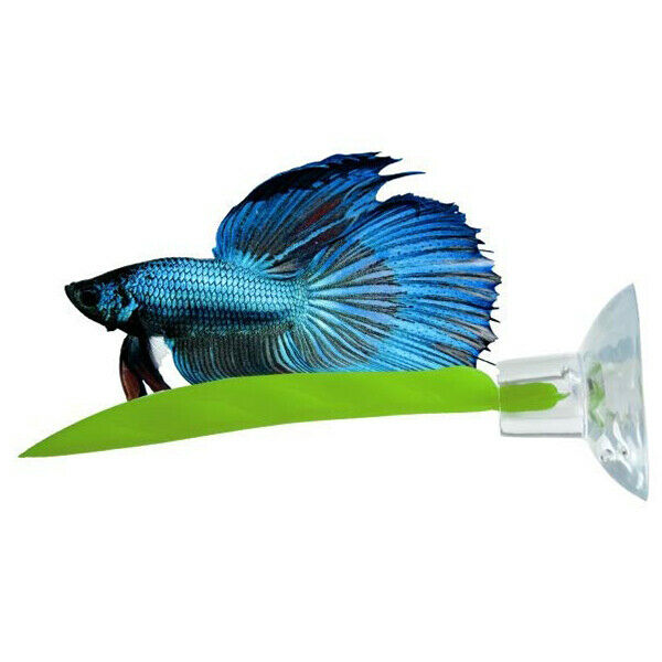 2 Pack Betta Hammock, Betta Fish Leaf Pad, Plastic Aquarium Plants With Suc M3J5