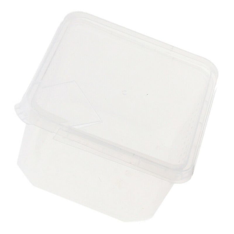 Plastic Insect Spider Habitat Feeding Box
