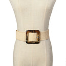 Woven Belt Buckle Fashion Ladies Casual Belt Ladies Dress Straw Belt Black