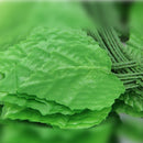 2 pack Artificial Ivy Vine Leaf Garland Plants Foliage Flowers Decor-230cm