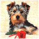5D Full Round Drill Diamond Painting Dog diy Embroidery Animal Decor (279)